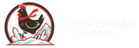 Frozen Chicken Exports