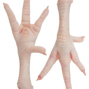 Frozen Chicken Feet